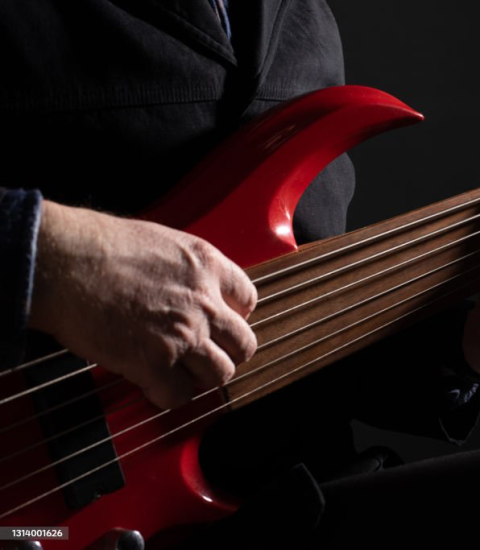 usare il basso fretless